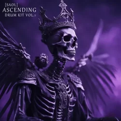 SAOL Ascending Drum Kit VOL.1 [WAV MIDI FST]