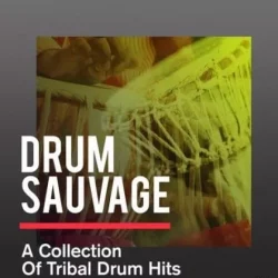 Sonicycle Sonicycle Drum Sauvage A Collection Of Tribal Drum Hits WAV