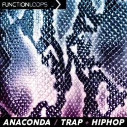 Function Loops Anaconda Trap & Hiphop WAV