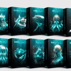 Jay Cactus DEEP SUITE