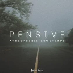 Samplestar Pensive WAV