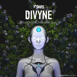 7 SKIES DIVYNE Melodic Techno Presets