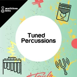 Multiton Bits Tuned Percussions WAV