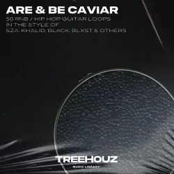 Treehouz Are & Be Caviar WAV