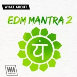 What About: EDM Mantra 2 WAV