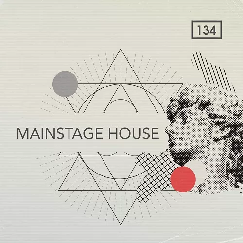  Bingoshakerz Mainstage House WAV 