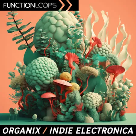 Function Loops Organix Indie Electronica WAV