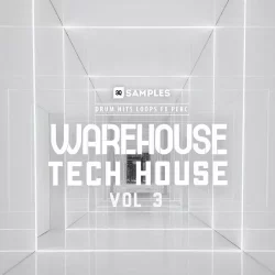 3q Samples Warehouse Tech House Vol.3 WAV