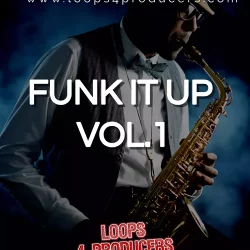 Loops 4 Producers Funk It Up Vol.1 WAV