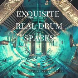 PastToFutureReverbs Exquisite Real Drum Spaces! WAV