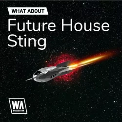 What About: Future House Sting WAV