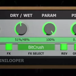 Audio Blast Mini Looper