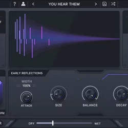 Minimal Audio Swarm Reverb