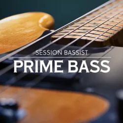 NI Session Bassist Prime Bass