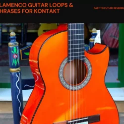 PastToFutureReverbs Flamenco Guitar Loops & Phrases [KONTAKT]