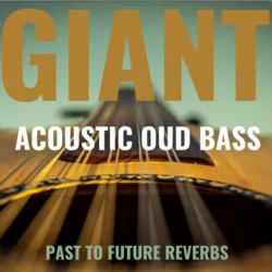 PastToFutureReverbs Giant Acoustic Round-Back Fretless Bass [KONTAKT WAV]