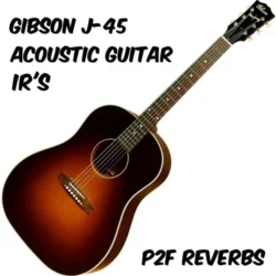 PastToFutureReverbs Gibson J-45 Acoustic Guitar! WAV