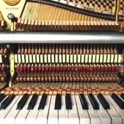 Counterpoint Fundamentals [TUTORIAL]