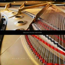 PastToFutureReverbs Grand Piano Reverb! (Steinway B) [WAV]