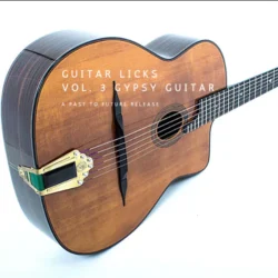 PastToFutureReverbs Guitar Licks Vol.3 Gypsy Guitar! [KONTAKT]