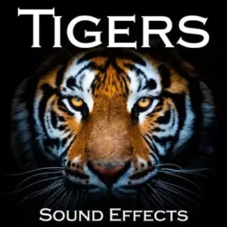 Sound Ideas Tigers Sound Effects [FLAC]