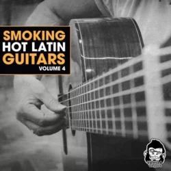 Vanilla Groove Studios Smoking Hot Latin Guitars Vol.4 WAV