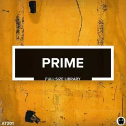 AT201 Prime // Full-Size Library [Standard Edition] WAV