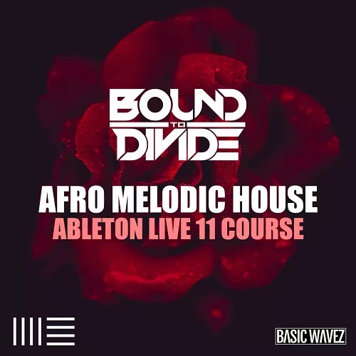 Basic Wavez Ableton Live 11 Course: Afro Melodic House Start To Finish 