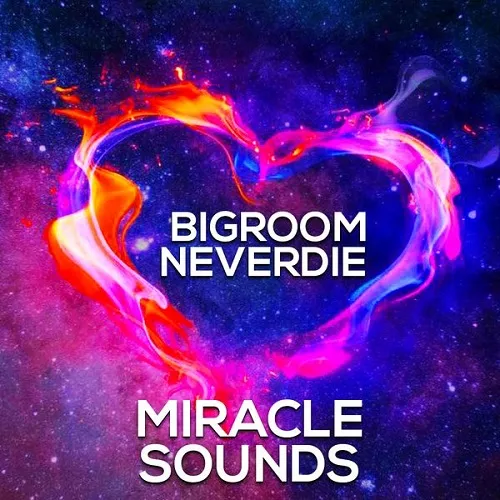 Miracle Sounds Bigroom Neverdie WAV MIDI FXP