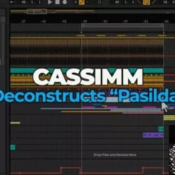 CASSIMM Deconstructs Pasilda TUTORIAL