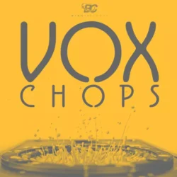 Big Citi Loops Vox Chops WAV MIDI