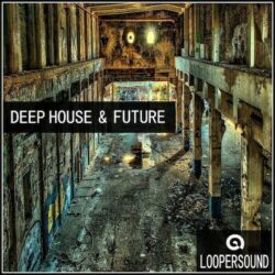 Loopersound Deep House & Future [WAV MIDI]