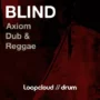 Blind Audio Axiom Dub & Reggae WAV