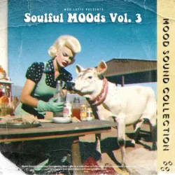 Moo Latte Soulful Moods Vol.3 (Compositions & Stems) WAV