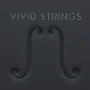 Pulse Audio Vivid Strings Violins 2 KONTAKT