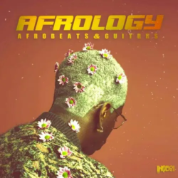 Inqboi Afrology: Afrobeats & Guitars WAV MIDI