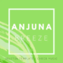 Innovation Sounds Anjuna Breeze (Ableton Trance Template)