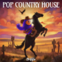 Dropgun Samples Pop Country House WAV PRESETS