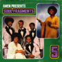 Boom Bap Labs Amen Soul Fragments Vol.5 WAV