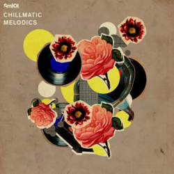 Sample Magic Chillmatic Melodics WAV