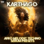 Infinity Audio Karthago - Afro Melodic Techno Serum Presets