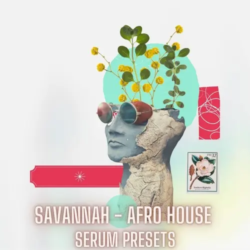 Infinity Audio Savannah – Afro House Serum Presets