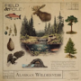 Field & Foley Alaskan Wilderness WAV