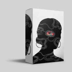 Acura Lucid Stylez Kit VOL.2 WAV FLP