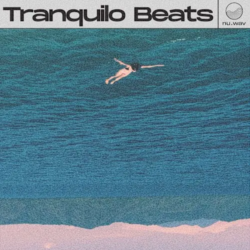 nu.wav Alex Alvarez - Tranquilo Beats WAV