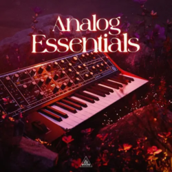 SYNTH PALACE ANALOG ESSENTIALS WAV