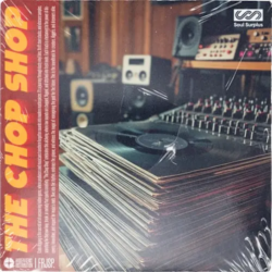 Soul Surplus The Chop Shop WAV