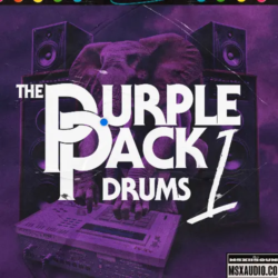 MSXII Sound Design The Purple Pack Drums 1 WAV