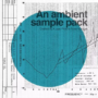 A Last Picture From Voyager Ambient Sample Pack WAV