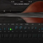 Ample Bass Upright v4.01 VST2 VST3 AU AAX STANDALONE